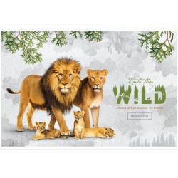 Альбом 16л. ArtSpace A16_35980 "Животные. Into the wild" 311484