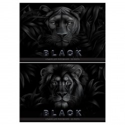 Альбом 32л. БиДжи 08613 "Just black" на скрепке 378683