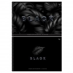 Альбом 40л. БиДжи 08647 "Just black" на гребне 378717