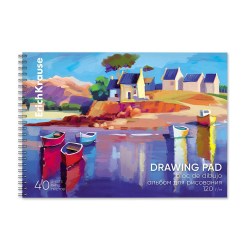 Альбом 40л. ErichKrause 61535 "Art Spirit" с пластиковой обложкой, на спирали