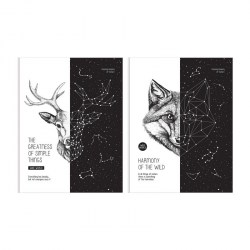 Блокнот-бизнес А5 БиДжи 11160 80л. "Wide world" клетка, тв.обложка 342392