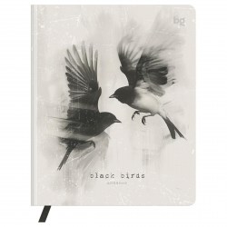 Дневник БиДжи 64513 "Black birds" 1-11 классы, иск. кожа 376686