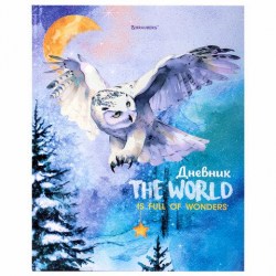 Дневник Brauberg 106846 "Сова" 1-11 классы, твердый