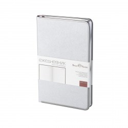 Ежедневник 3-528/06 "BRIDGE" А5 серебро /Bruno Visconti/