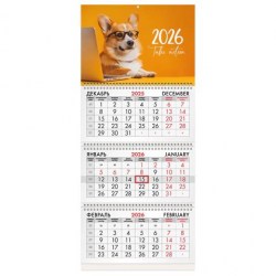 Календарь настенный на 2026г. Brauberg 116803 "Умный корги" квартальный, 3 бл. на 3 гр. с бегунком