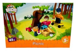 Конструктор пластиковый Kids Brick's 4062008 "Пикник", 45 деталей /Centrum/