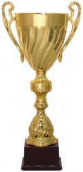 Кубок Мир Знаков KB 5078 C (H-40,5 см, D-120 мм)