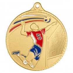 Медаль Мир Знаков MZP 594-55/G волейбол (D-55мм, s-2 мм)