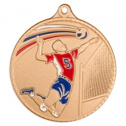 Медаль Мир Знаков MZP 594-55/В волейбол (D-55мм, s-2 мм)