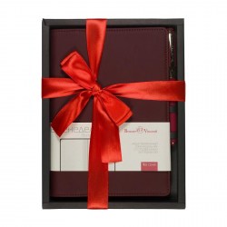 Набор подарочный Bruno Visconti 3-322/02-2 "Concept" А5 бордовый (ежедневник+ручка)