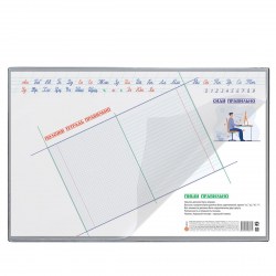 Настольное покрытие 2129.ПП-114 "Пиши правильно" 38*59см /ДПС/ 372514