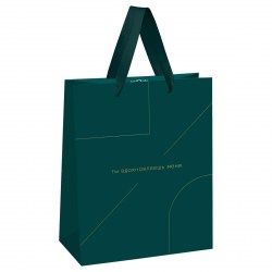 Пакет подарочный MESHU MS_51863 "Monocolor. Emerald" 18*23*10см , отд. фольгой 354608