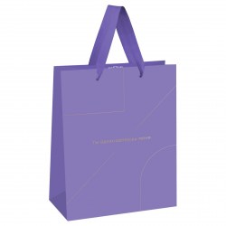 Пакет подарочный MESHU MS_51887 "Monocolor. Lavender" 18*23*10см , отд. фольгой 354620