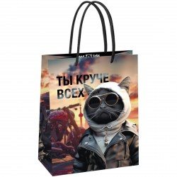 Пакет подарочный MESHU MS_61573 "Cool guy" 18*23*10см 371012