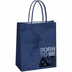 Пакет подарочный MESHU MS_61588 "Awesome" 18*23*10см 371027