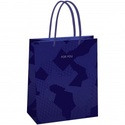 Пакет подарочный MESHU MS_61589 "Blue pattern" 18*23*10см 371028