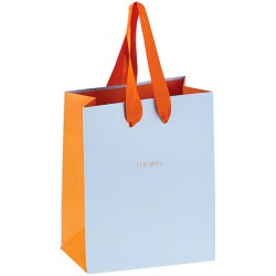 Пакет подарочный MESHU YPm_32616 "Duotone. Sky blue" 18*23*10см 308929