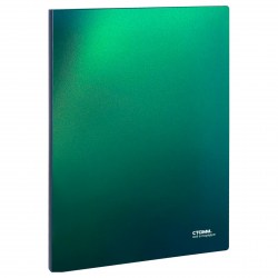 Папка  20 вкладышей СТАММ ММ-31863 "Хамелеон" зеленый хамелеон 14мм, 700 мкм 373323