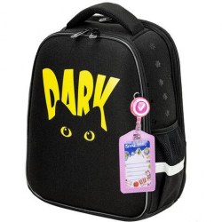 Ранец Brauberg 272026 "Dark cat" 2 отделения, 38*27*14см