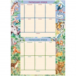 Расписание уроков БиДжи 367884 А3 "Пиши-стирай. Животные"