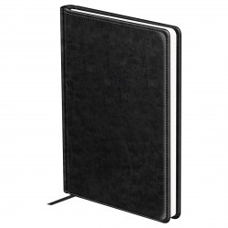 СКИДКА 20% Ежедневник 2026г. БиДжи DdА5_09365 "Nebraska. Black" А5, 176л, черный 380097