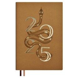 СКИДКА 50% Ежедневник 2025г. Феникс 67004 "#ИЛОН МАСК" А5, 176 л., иск.кожа, бежевый