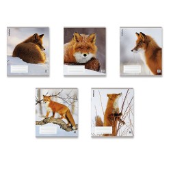 Тетрадь  48л. 60693 клетка "Лисы" с пластиковой обложкой /ErichKrause/