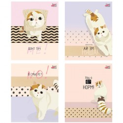 Тетрадь  48л. БиДжи 10012 "Ай эм няша!" клетка, выб. лак 328928