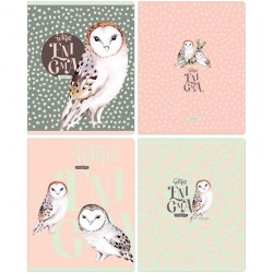 Тетрадь  48л. БиДжи 11063 "White enigma" клетка, матовая ламинация 342098