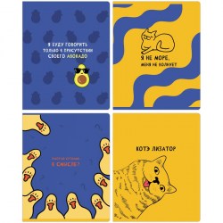 Тетрадь  48л. БиДжи 11070 "Приколись!" клетка 342105