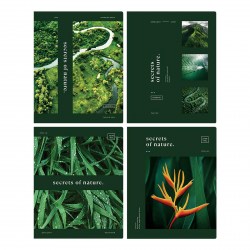 Тетрадь  48л. БиДжи 11870 "Тайны природы" клетка, матовая ламинация 341028