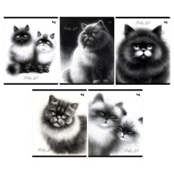 Тетрадь  48л. БиДжи 63531 "Пушистые коты" клетка 374419