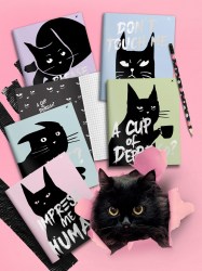 Тетрадь  48л Lorex LXCBCL-WC "WAYWARD CAT" клетка, софт-тач, ассорти 238775