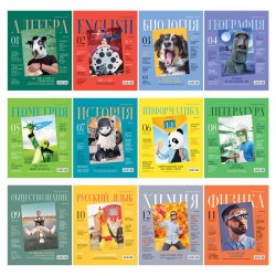 Тетради предметные БиДжи 11594 "Скандальности" /12шт/ 48л. 345232