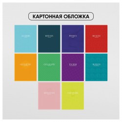 Тетради предметные БиДжи 11753 "Monocolor. Perfection" /10шт/ 48л. 346637