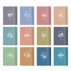 Тетради предметные БиДжи 62376 "Ясно и понятно" пласт. обложка /12шт/ 48л. 386954