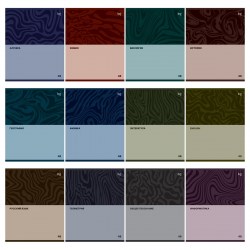 Тетради предметные БиДжи 63721 "Single colour" /12шт/ 48л. 374765