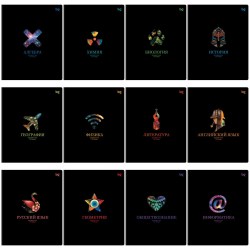 Тетради предметные БиДжи 63724 "Информационное поле" /12шт/ 48л. 374768