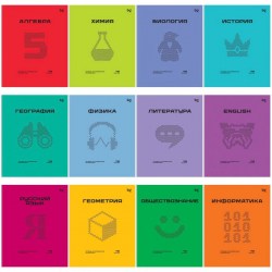 Тетради предметные БиДжи 63725 "Перфокарта" пласт. обложка /12шт/ 48л. 374769