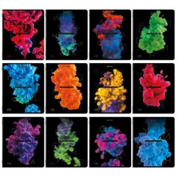 Тетради предметные Brauberg 404834 "PIGMENT" /12шт/ 48л.