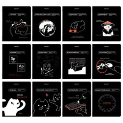 Тетради предметные Brauberg 405172 "Мемы" /12шт/ 48л.