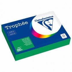 Бумага Clairefontaine 116723 А4, 80г/м2, 500л. интенсив (травяной)