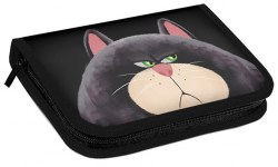 Пенал Centrum 75974 "Недовольный кот" 190*110мм книжка без наполнения 